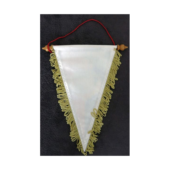 8° RPIMA : fanion du 8° régiment de parachutistes d'infantrerie de Marine 27 cm