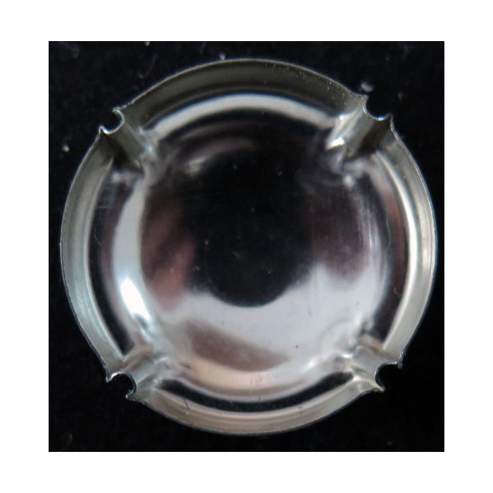 Capsule Muselet de bouteille de champagne CANARD-DUCHENE n° 75  vert grandes lettres