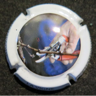 Capsule Muselet de bouteille de champagne CO.GE.VI n° 20 la taille