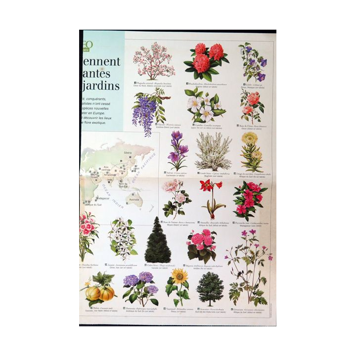 Poster d'où viennent les plantes de nos jardins