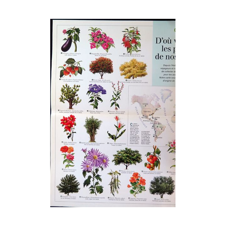 Poster d'où viennent les plantes de nos jardins