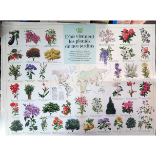 Poster d'où viennent les plantes de nos jardins