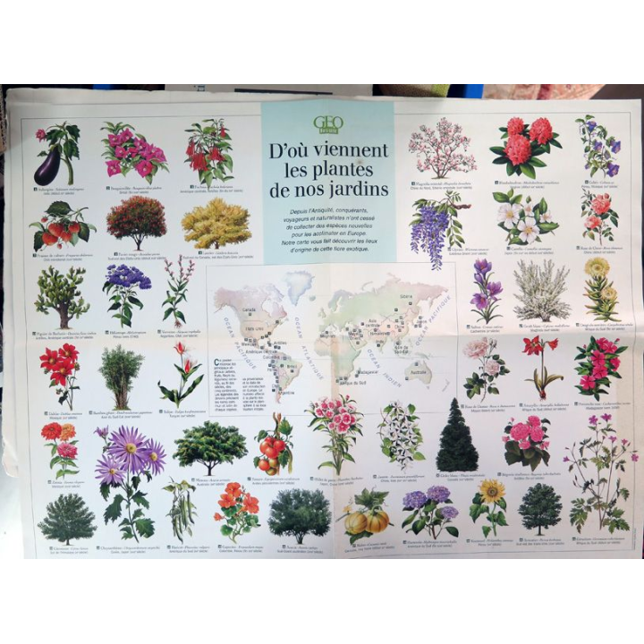 Poster d'où viennent les plantes de nos jardins