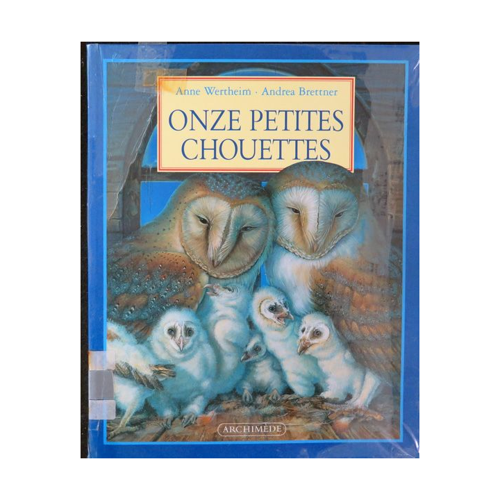 Onze petites chouettes Anne Wertheim et Andrea Brettner