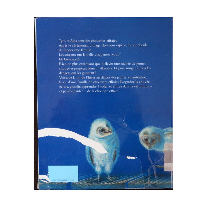 Onze petites chouettes Anne Wertheim et Andrea Brettner