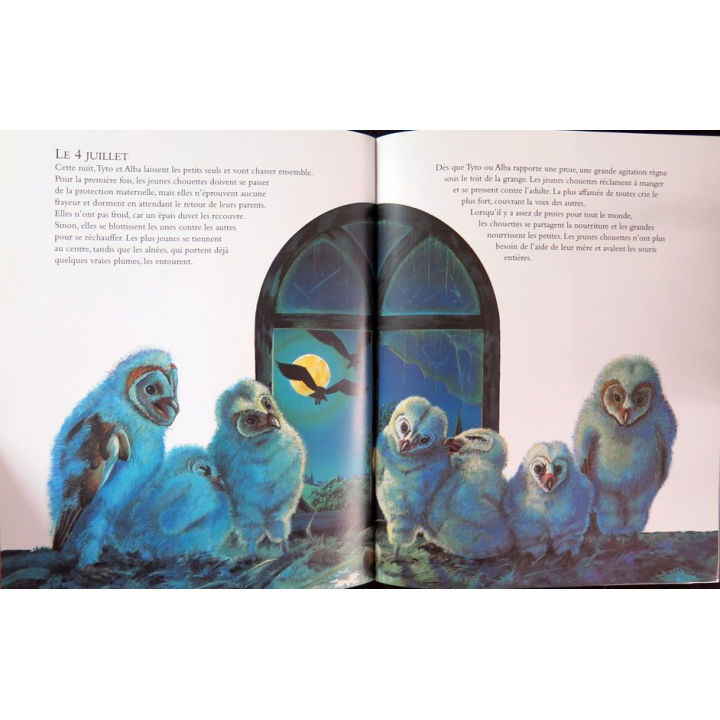 Onze petites chouettes Anne Wertheim et Andrea Brettner