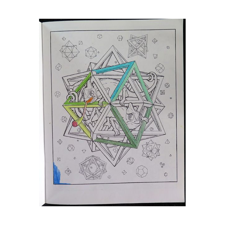 Images et coloriages M.C. Escher Gallimard jeunesse