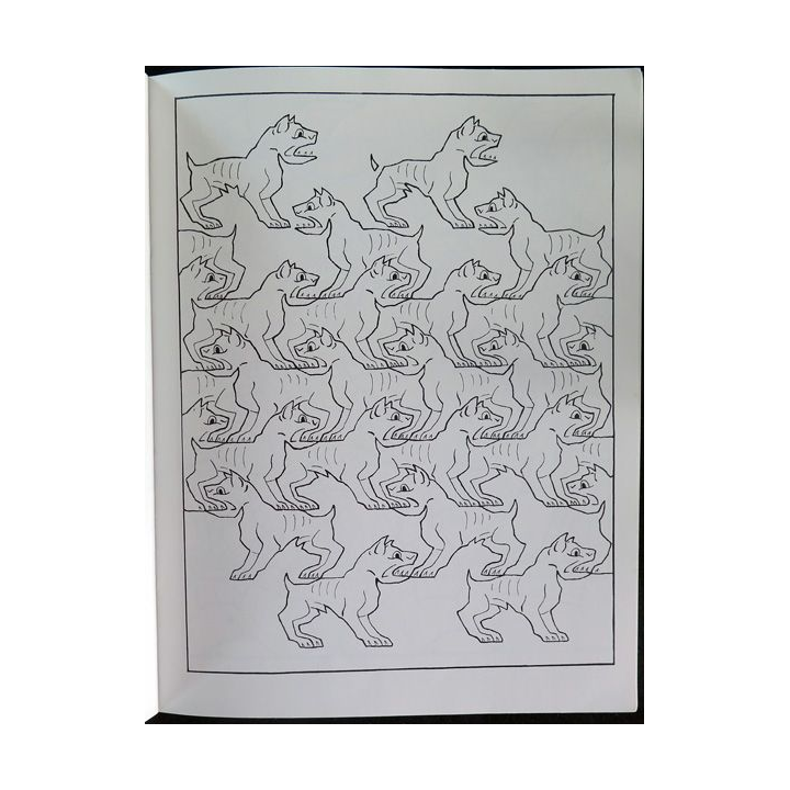 Images et coloriages M.C. Escher Gallimard jeunesse