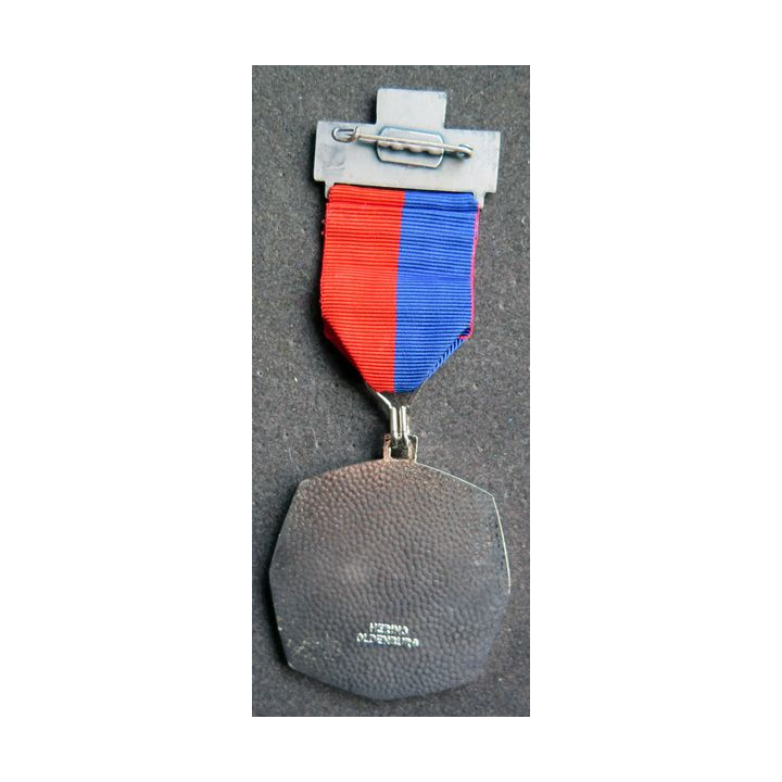ALLEMAGNE : médaille de la 15° Volksmarsch de Zwischenahner 1984