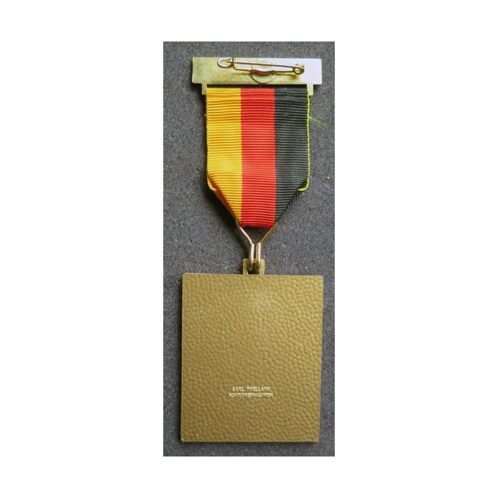 ALLEMAGNE : médaille de lka Volkswinter wanderung 3 x 10 km 