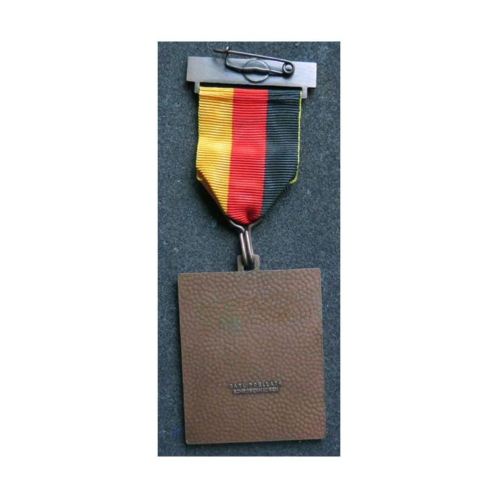 ALLEMAGNE : médaille de lka Volkswinter wanderung 3 x 10 km 