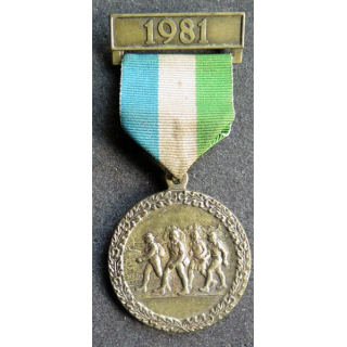ALLEMAGNE : médaille de 8° Int. Apen Volksmarsch 1981