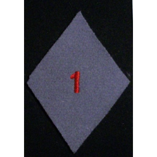LOSANGE DE BRAS MODÈLE 45 : 1°GLCAT TROUPE (1 DROIT) GRIS VELCRO