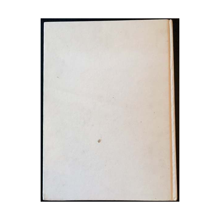 1. Terre Sainte de Sarah Kochav aux éditions Gründ