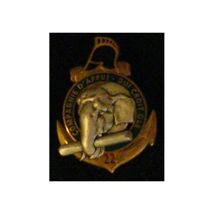 6° RG : 6° RÉGIMENT DU GÉNIE 22° COMPAGNIE D'APPUI