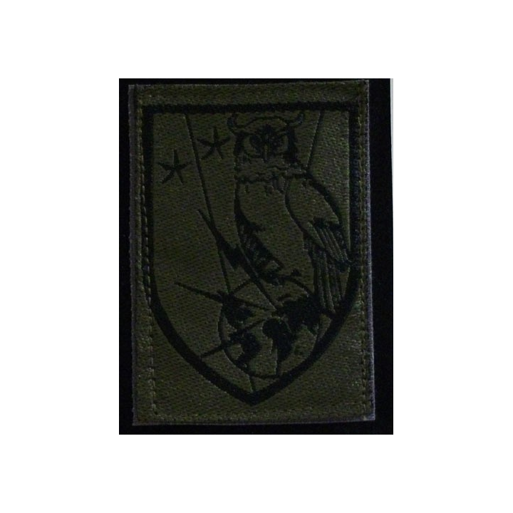 BRENS : BRIGADE DE RENSEIGNEMENT CAMOUFLÉE