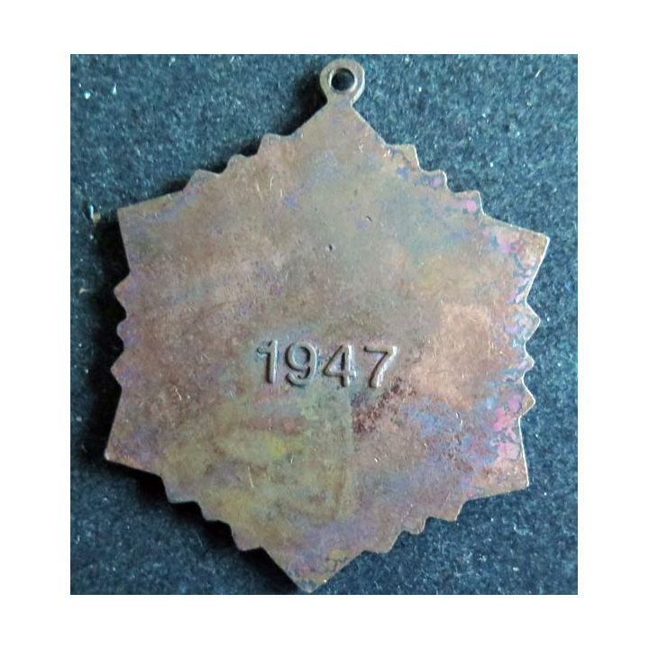 CHINE : médaille émaillée de l'académie des cadres sans ruban