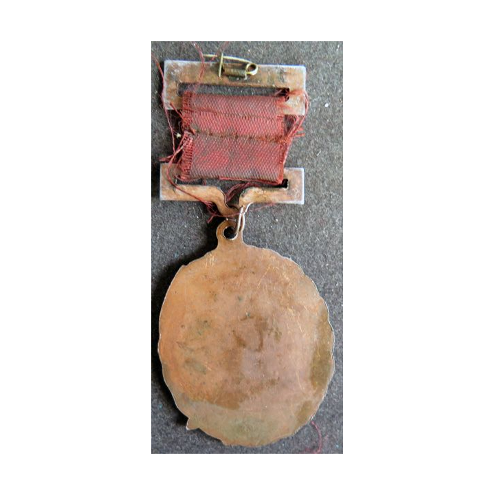 INCONNUE : Médaille militaire inconnue ? Chinoise ? Russe ?