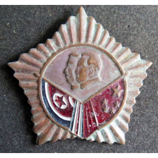 CHINE : insigne militaire chinois année 1940 - 1950
