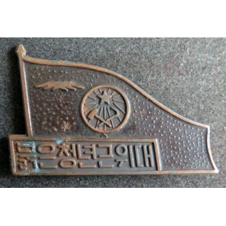 CHINE : insigne militaire chinois année 1940 - 1950