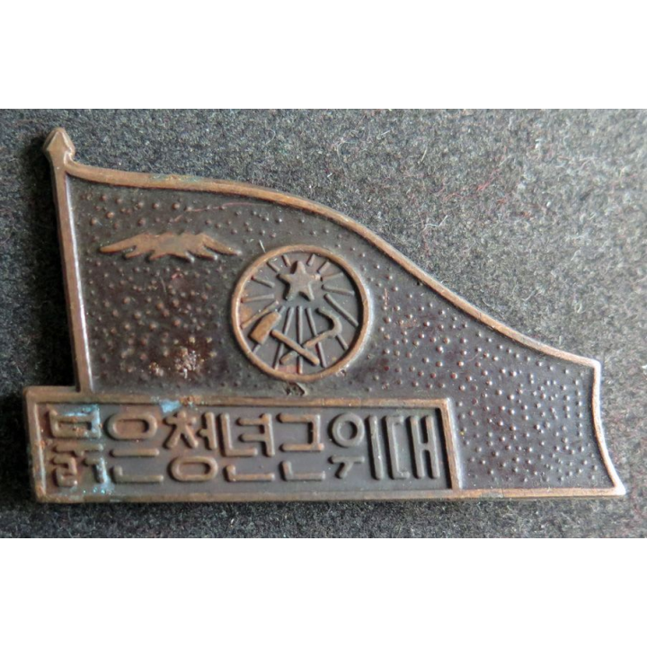 CHINE : insigne militaire chinois année 1940 - 1950