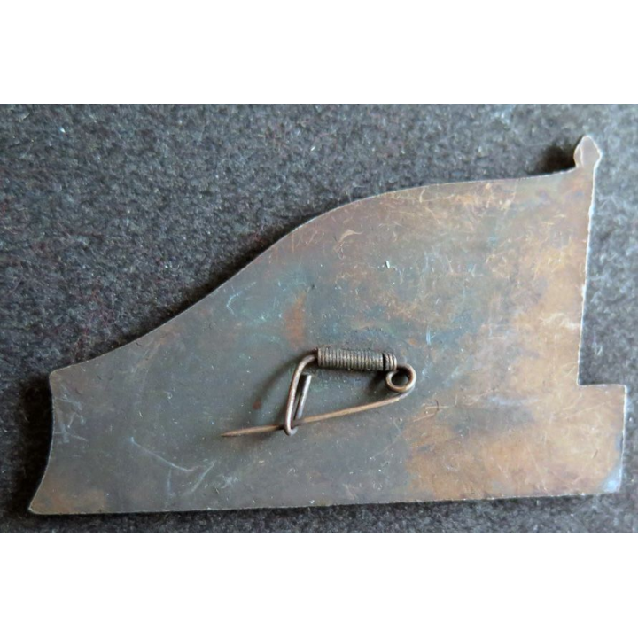 CHINE : insigne militaire chinois année 1940 - 1950