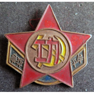 CHINE : insigne militaire chinois année 1940 - 1950