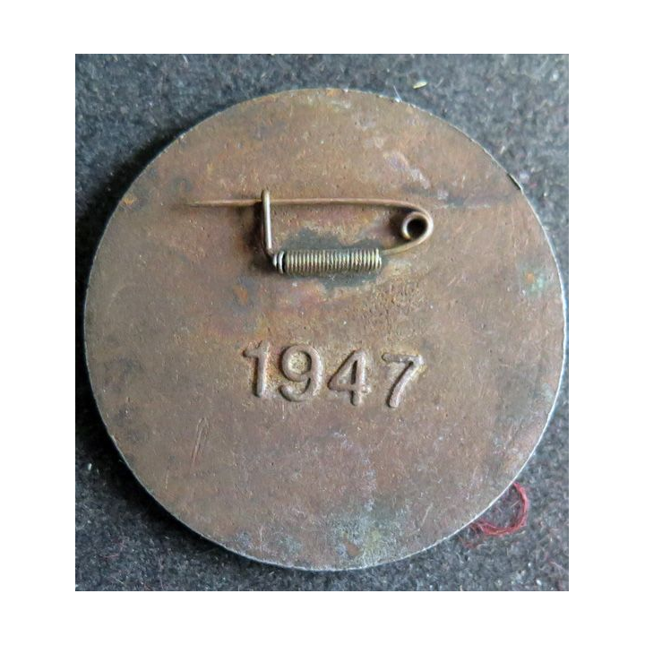 CHINE : insigne militaire chinois année 1940 - 1950