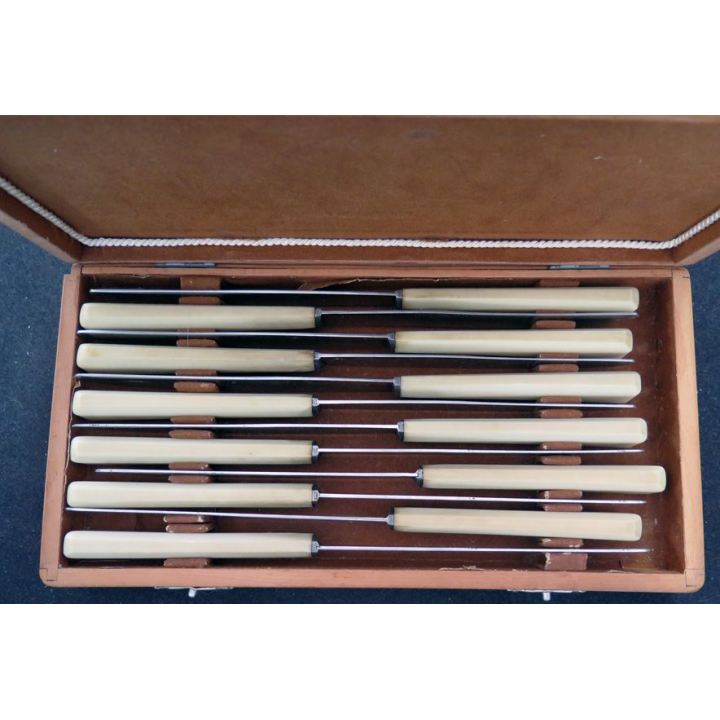 Coffret de 12 couteaux en corne de longueur 23 cmonoré  manche en corne (ou Ivoire ?)