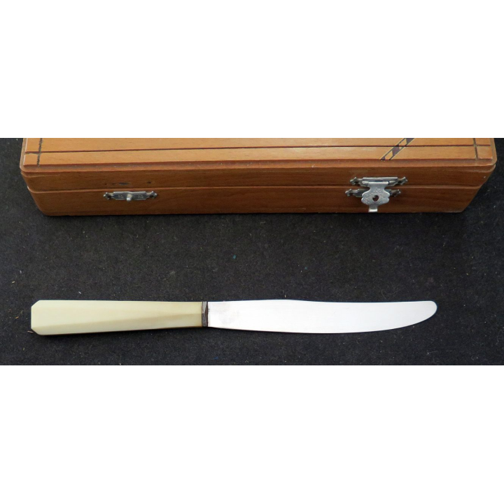 Coffret de 12 couteaux en corne de longueur 23 cmonoré  manche en corne (ou Ivoire ?)