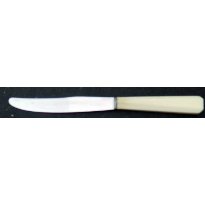 Coffret de 12 couteaux en corne de longueur 23 cmonoré  manche en corne (ou Ivoire ?)