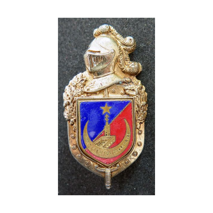 10° LG BIS : 10° Légion Gend Bis Oran écu émail et plateau doré Drago Romainville