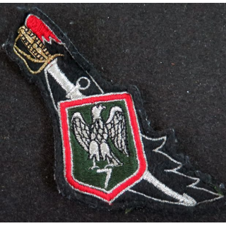 7° RCH : insigne tissu du 7° régiment de chasseurs 12,5 x 6 cm