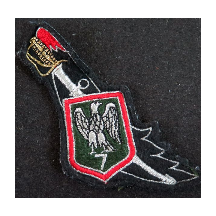 7° RCH : insigne tissu du 7° régiment de chasseurs 12,5 x 6 cm