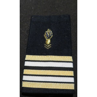 Fourreau d'épaule de Lieutenant Colonel du Corps technique et administratif CTA