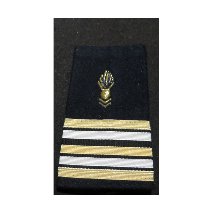 Fourreau d'épaule de Lieutenant Colonel du Corps technique et administratif CTA
