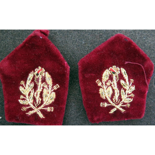 paire de soutache (insigne de col) de médecin  en cannetille 