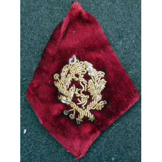 paire de soutache (insigne de col) de médecin  en cannetille