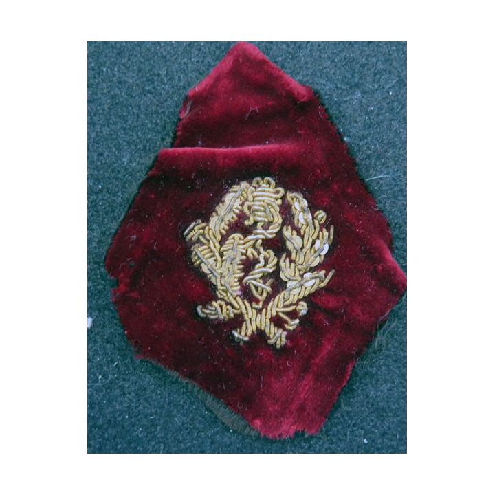 paire de soutache (insigne de col) de médecin  en cannetille