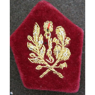 soutache (insigne de col) de médecin  en cannetille