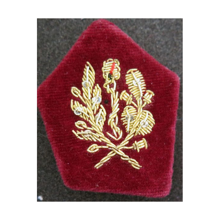 soutache (insigne de col) de médecin  en cannetille