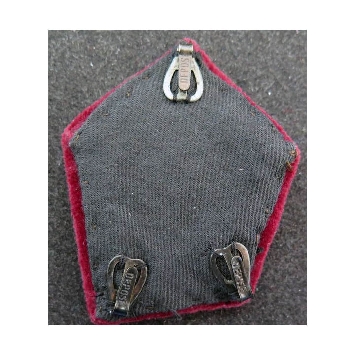 soutache (insigne de col) de médecin  en cannetille