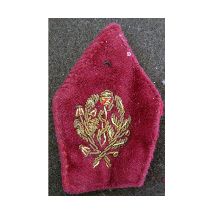 soutache (insigne de col) de médecin  en cannetille sur crochets