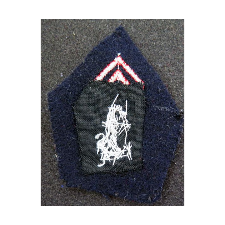 soutache (insigne de col) de l'Infanterie de Marine en cannetille 