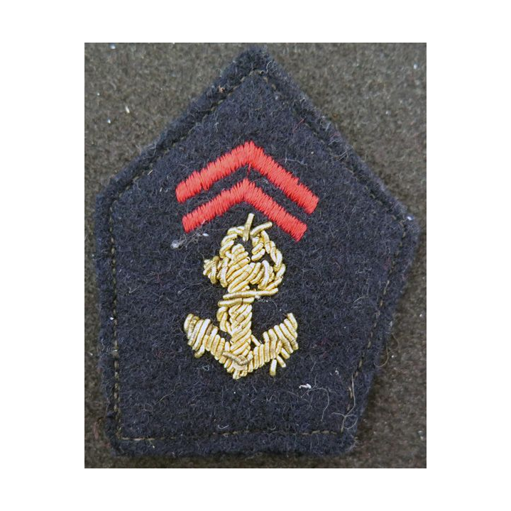 soutache (insigne de col) de l'Infanterie de Marine en cannetille avec crochets