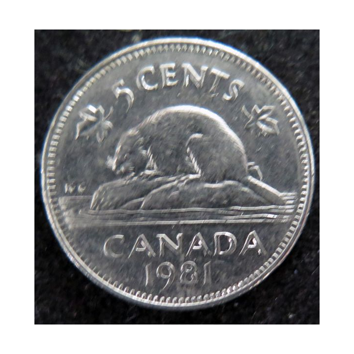 CANADA : Pièce de 5 cents 1981 Elisabeth II Castor