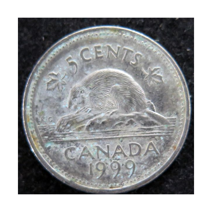 CANADA : Pièce de 5 cents 1999 Elisabeth II Castor