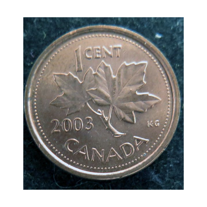 CANADA : Pièce de 1 cents 2003 Elisabeth II feuille d'érable