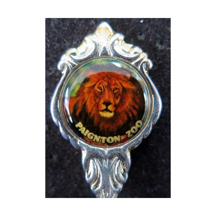 PETITE CUILLERE de collection argentée de Paignton Zoo dans sa boite