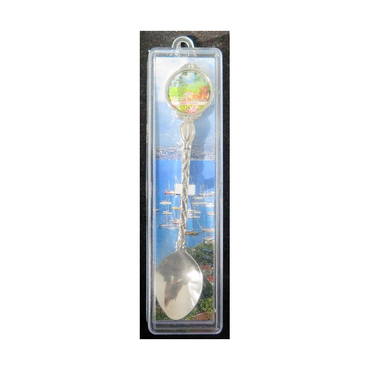 PETITE CUILLERE de collection argentée de jardin de Balala Martinique dans sa boite